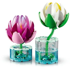 LEGO Botanicals Seerosen 11511