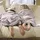 Biederlack Cotton Home Kuscheldecke 150 x 220 cm Beige