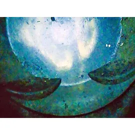 VIGOR Video-Endoskop, V7500/2