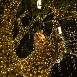 Lumi Jardin Lichterkette Solar 16,3 m Schwarz