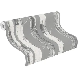 Rasch Textil Papiertapete mit Birkenstämmen, grau (grau,weiß), B:0,53m L:10,05m, Papier, Tapeten, Birkenwald