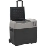 vidaXL Kühlbox mit Rollen und Griff 40 l