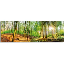 Reinders! Wandbild »Sonniger Wald« Reinders! Farbe Bild(er): grün