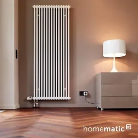 Homematic IP Schaltsteckdose HmIP-PS-2 Weiß 2 St.