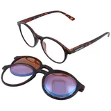 Gamswild Lesebrille Gamswild +1,0 +1,5 +2,0 +2,5 dpt (3 in 1) Lesebrille + Clip PC, Brille (Blaulichtfilter) + Clip für Sonnenbrillenaufsatz braun