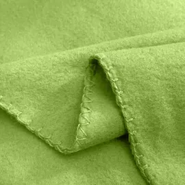 Wometo 2er Set Polar Fleecedecke oekoTex 130x160 ca. 400g mit Anti-Pilling und Kettelrand grün