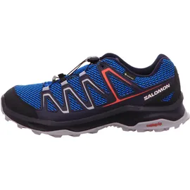 Adidas Custer Gore-Tex Herren indigo bunting/night sky/fiery red 43 1/3