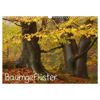 Calvendo Baumgeflüster (Wandkalender 2026 DIN A3 quer), CALVENDO Monatskalender: