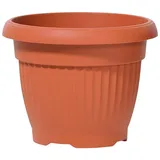 Prosperplast Terra - Terakota - Pp-dce35t