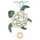 hauck Spieluhr Cuddle N Sleep, - Turtle
