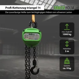 Trutzholm Kettenzug triangel 1t Tragkraft 3m Hubhöhe