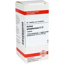 DHU-Arzneimittel KALIUM PHOSPHORICUM D 12 Tabletten
