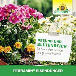 NEUDORFF Eisendünger 250 ml
