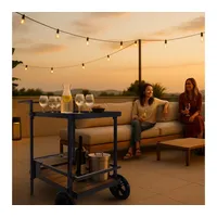 ABC home | Outdoor Servierwagen | Zwei Ablageflächen Flaschenhalterungen