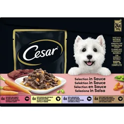 Cesar Hundenassfutter Selection in Sauce Multipack