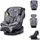 Chipolino Hypnotic i-Size grau