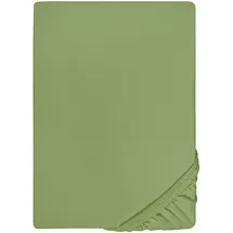biberna 0077144 Feinjersey 90 x 190 - 100 x 200 cm fichte