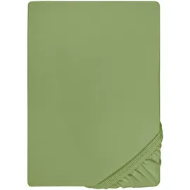 biberna 0077144 Feinjersey 90 x 190 - 100 x 200 cm fichte