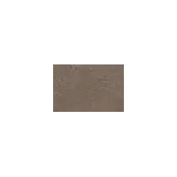 Corpet Linoleum - Linodesign - Beton grey - Pure
