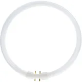Philips Master TL5 Circular 55W/830 2GX13