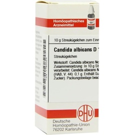 DHU-ARZNEIMITTEL CANDIDA ALBICANS D12