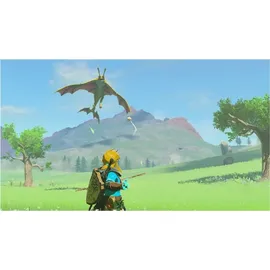 The Legend of Zelda: Tears of the Kingdom (Nintendo Switch)