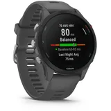 Garmin Forerunner 255 46 mm schiefergrau/schwarz