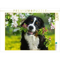 Calvendo Puzzle Treuer Freund Berner Sennenhund 1000 Teile Puzzle