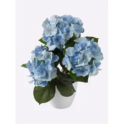 Kunstpflanze GASPER, blau, B:25cm H:36cm T:25cm, Kunststoff, Kunstpflanzen