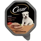 Cesar Junior Schale mit Truthahn und Kalb Hundefutter nass