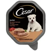 Cesar Junior Schale mit Truthahn und Kalb Hundefutter nass