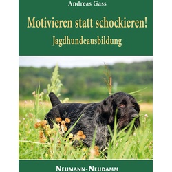 Motivieren statt schockieren! als Buch von Andreas Gass
