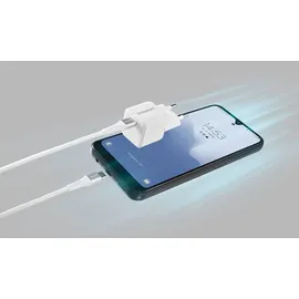 Intenso Power Adapter W30C GaN + C315C Kabel weiß