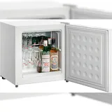 Bartscher Tiefkühlschrank TKS38