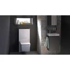 Geberit Monolith Sanitärmodul für Stand-WC, 114 cm, Glas weiß