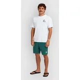 O'Neill O'Riginals Cord Shorts botanical heat Gr. S