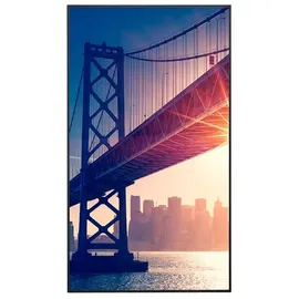 NEC MultiSync ME552 55"