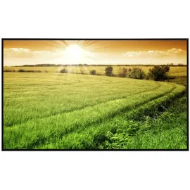 Papermoon Infrarotheizung Feld des frischen Getreides 600 W bunt