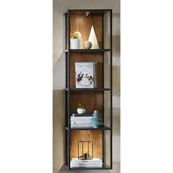 Wohn-Concept Manhattan Wandregal Holzwerkstoff/Metall Haveleiche Cognac/Graphit - Graphit