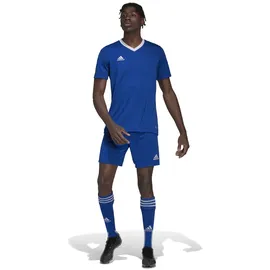 adidas Entrada 22 Trikot Herren -