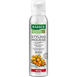 RAUSCH STYLING MOUSSE Strong 150 ml Aerosol 150 ml Schaum