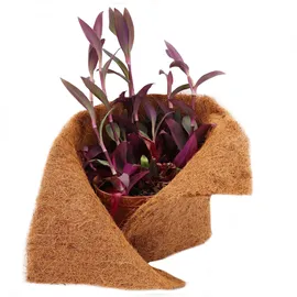 Aquagart 12m Kokosmatte Winterschutz Böschungsmatte Kokosfasermatte 800g/m2 0,5m breit