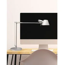 Maul MAULrock (8234195)