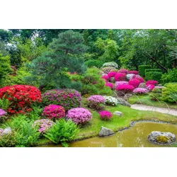Fototapete PAPERMOON "GARTEN-BLUMEN BÄUME PFLANZEN STEINE WALD PARK BLÜTEN", bunt, B:3,00m L:2,23m, Vlies, Tapeten