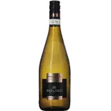 Colli del Soligo Prosecco Vino Frizzante DOC Treviso Extra Dry