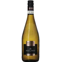 Colli del Soligo Prosecco Vino Frizzante DOC Treviso Extra Dry