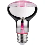 Paulmann LED Grow Green Pflanzenlampe R80 6,5 W E27