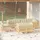 vidaXL Garten-Lounge-Set 9-tlg. mit Creme Kissen Kiefer braun