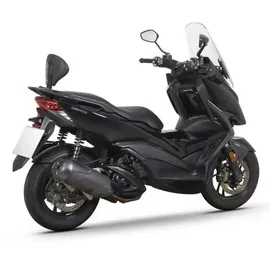 Shad Rückenlehne für Zontes M310