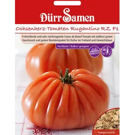 Dürr Samen Dürr-Samen | Ochsenherz-Tomaten Rugantino RZ F1 Saatgut